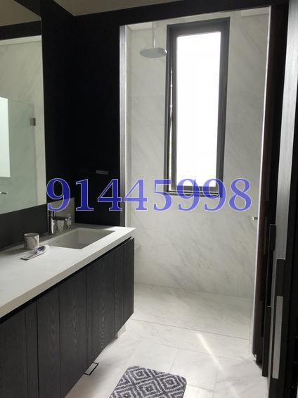Robin Residences (D10), Condominium #165454712